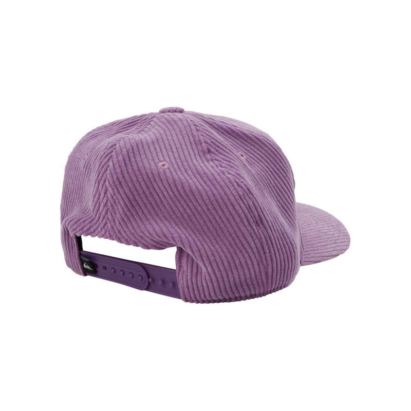 Quiksilver - FRITZED MCGEE YOUTH - VIOLET - Snapback Cap