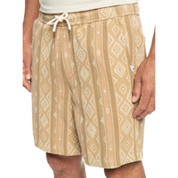 Quiksilver - TAXER JACQUARD - PRALINE KENTIN - Short