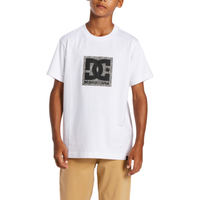 DC - DCSQUARSTARFILL  TEES  - WHITE/GREYSTONE - T-Shirt