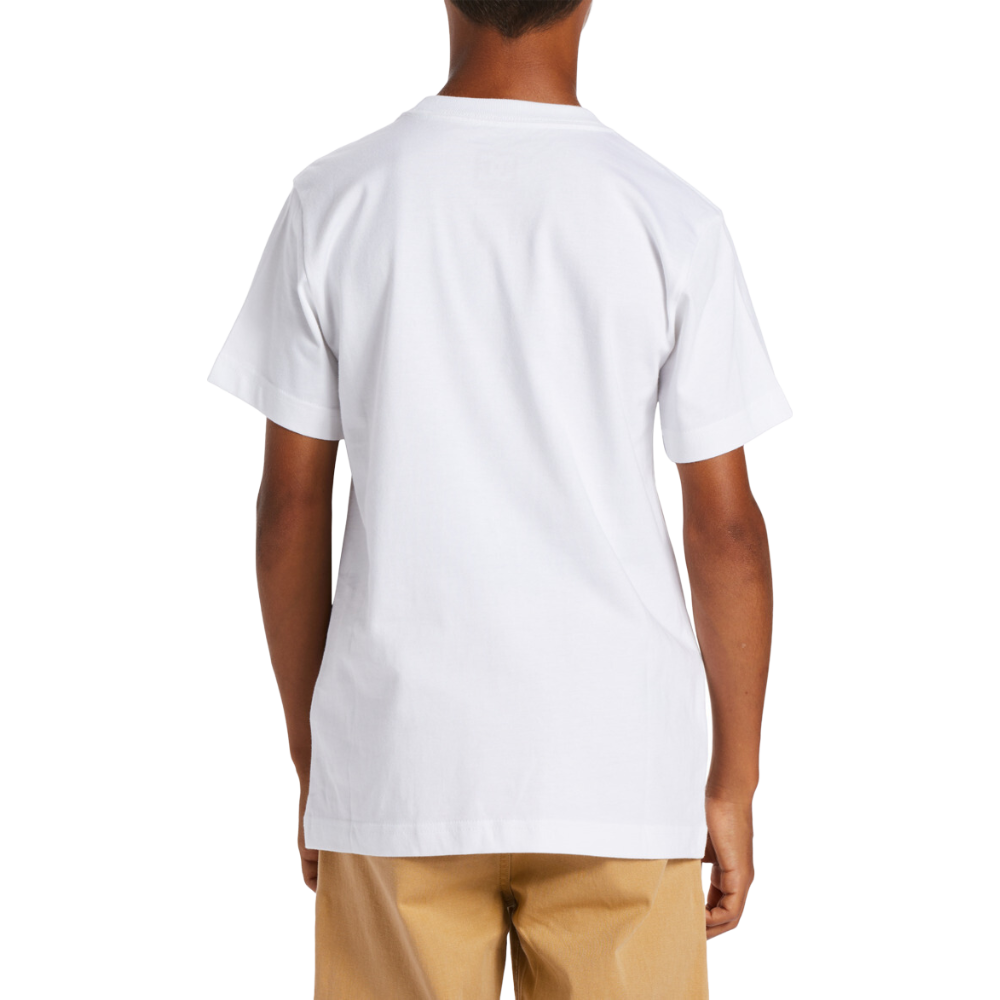 DC - DCSQUARSTARFILL  TEES  - WHITE/GREYSTONE - T-Shirt