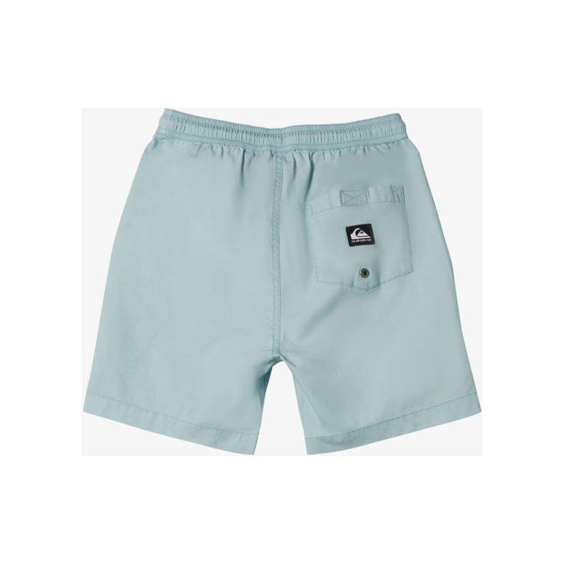 Quiksilver - TAXER BOYS - CLOUD BLUE - Short