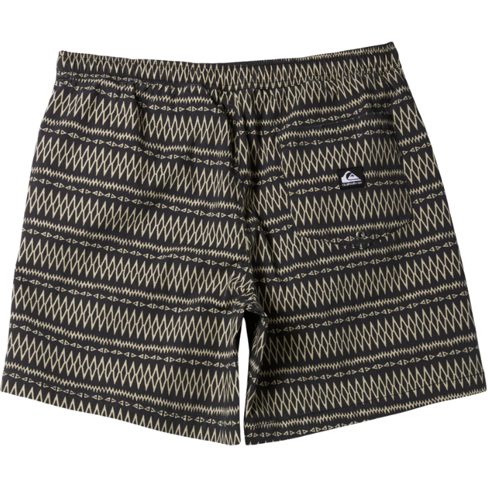 Quiksilver - TAXER - TARMAC TAXER WS - Short