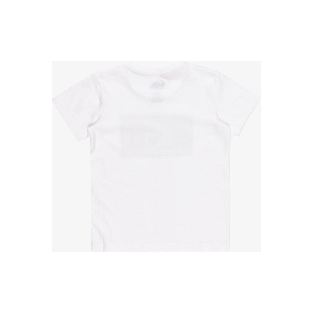 Quiksilver - DAY TRIPPER SS BOY - WHITE - T-Shirt