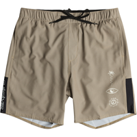 Quiksilver - OMNI TRAINING SHORT 17 - TIMBER WOLF - Hybrid Short