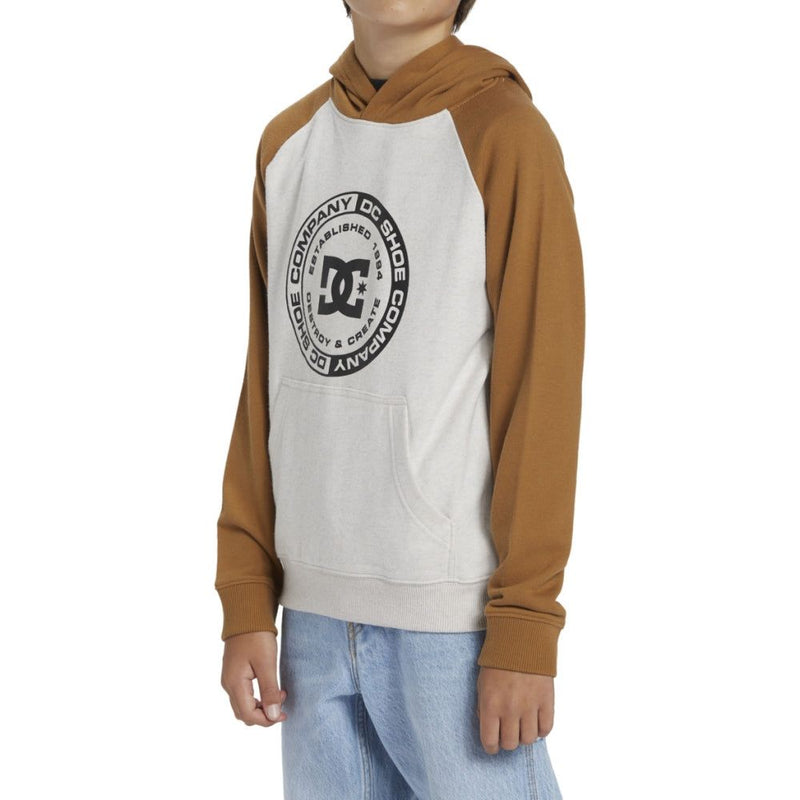 DC - DC CORPO RAGLAN PH BOY - SNOW HEATHER/CHIPMUNK - Hoodie