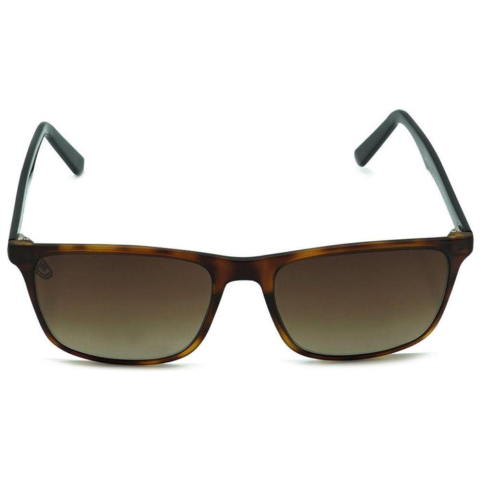 Seaphatch - Phieres - Brn Tort Blk Brn - Sonnenbrille