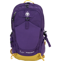 Ephedition 24 - Phieres - Purple Haze - technischer Rucksack