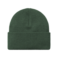 Carhartt - Chase Beanie - Sycamore Tree/Gold - Beanie