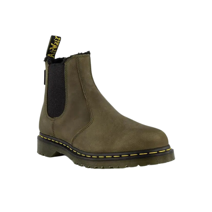 2976 DMS Olive