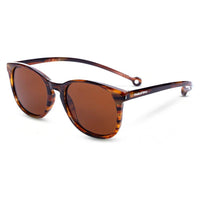 ARROYO - Parafina - AMBER TORTOISE BROWN - Sonnenbrille