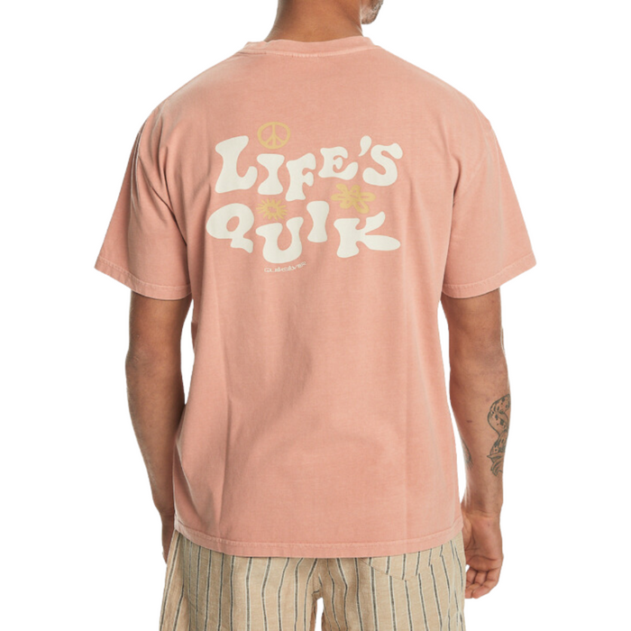 Lifes Quik SS - Quiksilver - CANYON CLAY - T-Shirt