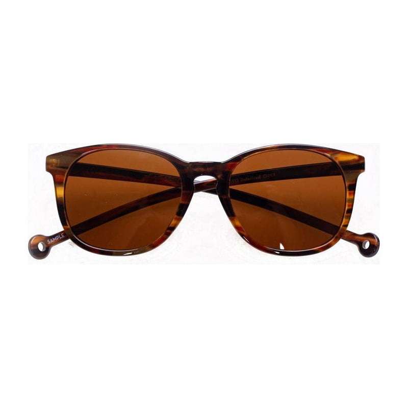 ARROYO - Parafina - AMBER TORTOISE BROWN - Sonnenbrille