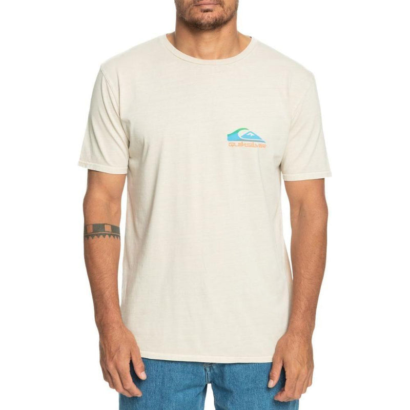 Pastime Paradise SS - Quiksilver - Birch 