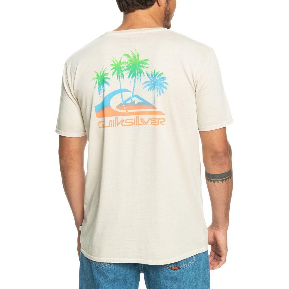 Pastime Paradise SS - Quiksilver - Birch 