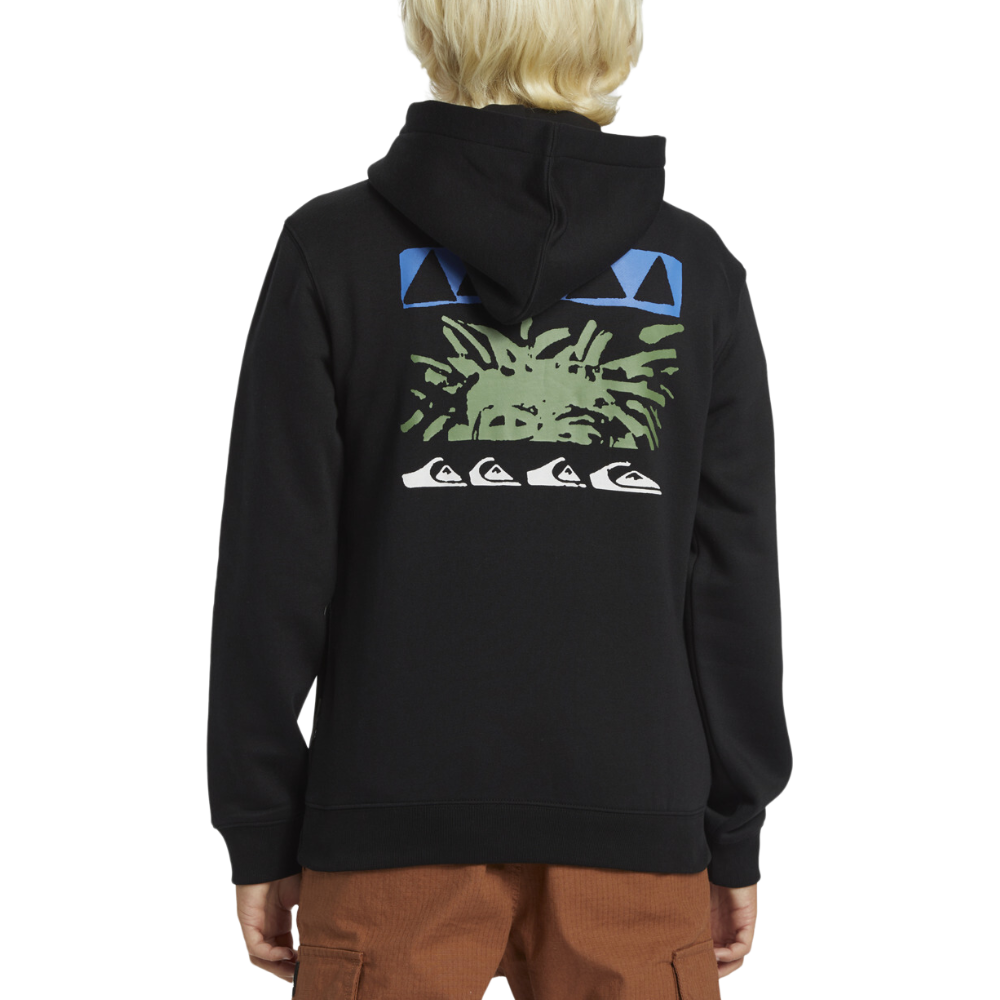 Graphic Hoodie Youth