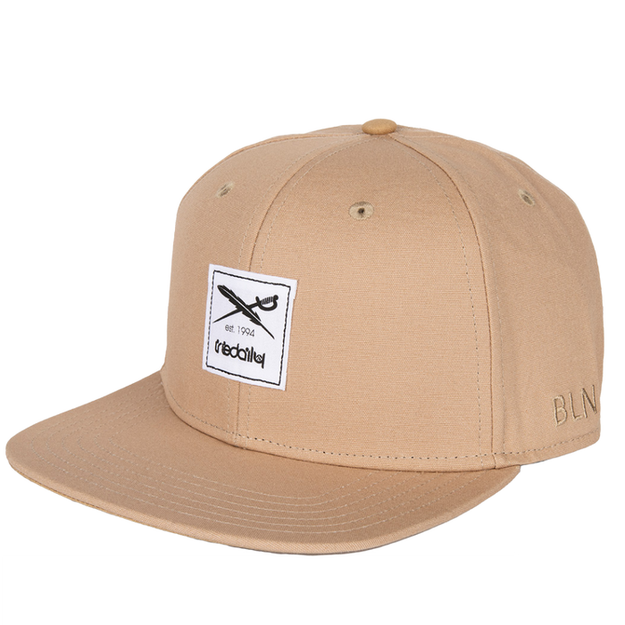 Daily Flag 20 Snapback